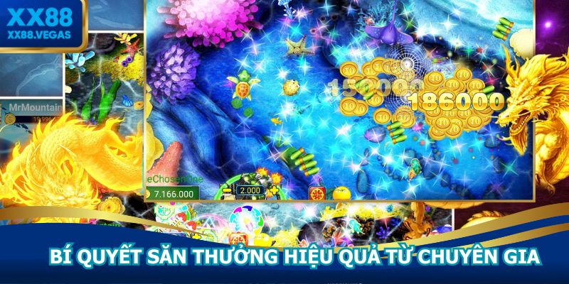 Bí quyết săn thưởng hiệu quả từ chuyên gia
