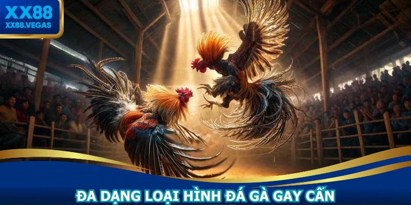 Đa dạng các hình thức giao tranh cuốn hút