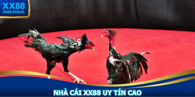 Địa chỉ cá cược có lượng người tham gia đông