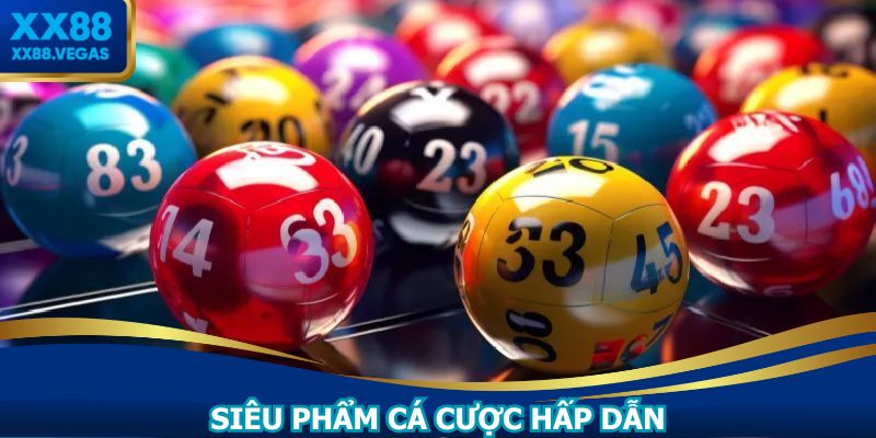 Hệ thống cung cấp kho siêu phẩm cược XS siêu cuốn hút