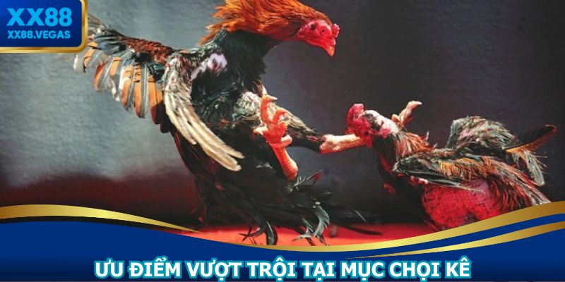 Hệ thống mang đến nhiều ưu điểm cực kỳ nổi bật