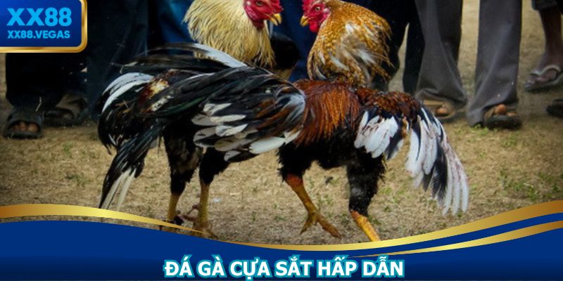 Hình thức đặc biệt thu hút nhiều người xem