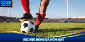 Soi Kèo Bóng Đá Hôm Nay - Góc Nhìn Chuyên Sâu Cho Hội Viên